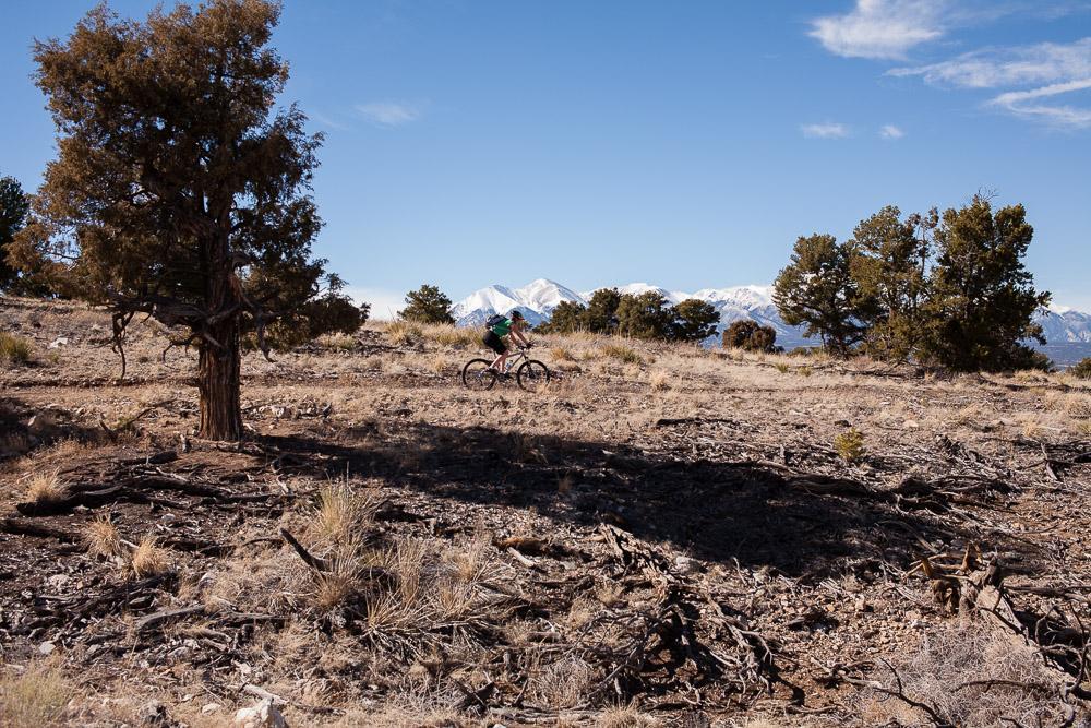 A mountain biker riding through a rugged landscape, featuring sparse vegetation and a few trees. In the background, snow-capped mountains are visible against a clear blue sky. Little Rainbow mountain bike trail.
