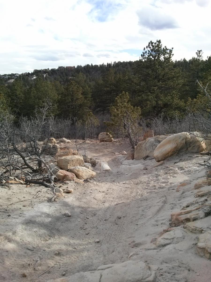 A sandy trail winding through a rocky terrain, surrounded by sparse vegetation and pine trees under a cloudy sky. The path leads into the distance, suggesting an inviting journey through a natural landscape. Ute Valley Park mountain bike trail.