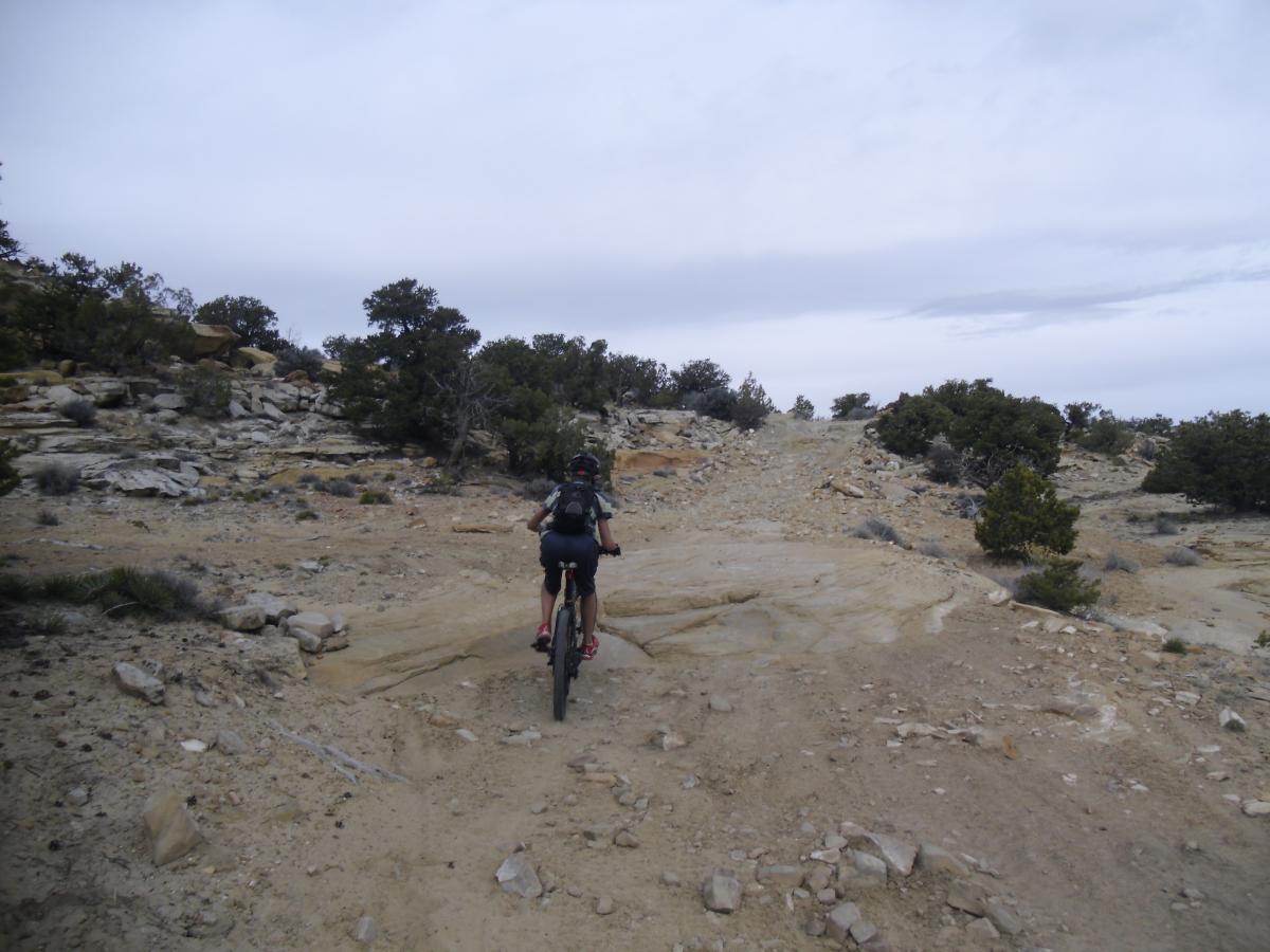 A person riding a mountain bike on a rocky, dirt trail surrounded by sparse vegetation and trees under a cloudy sky. The path appears rugged and challenging, leading into a hilly terrain. Devil's Racetrack mountain bike trail.