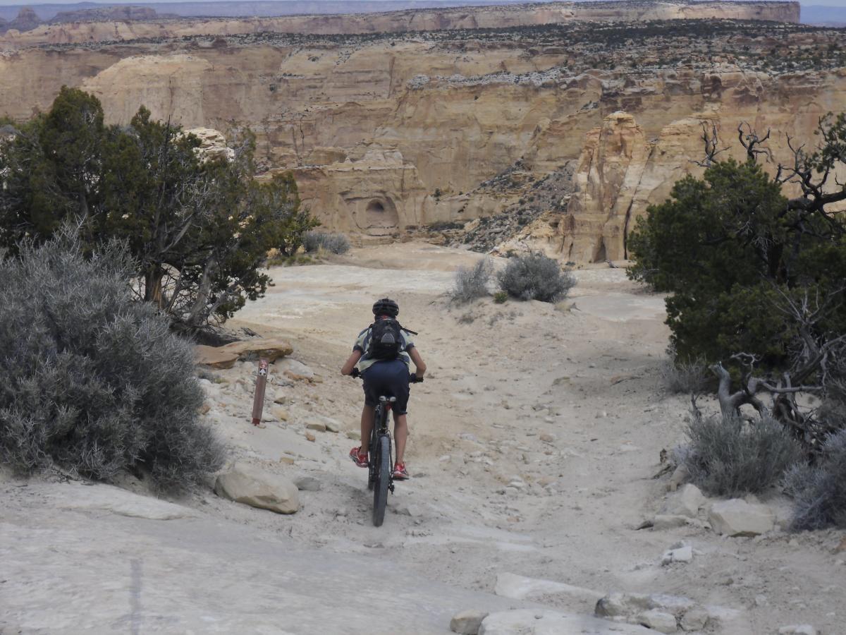 A mountain biker riding on a rocky trail surrounded by dry, desert vegetation and dramatic canyon landscapes in the background. Devil's Racetrack mountain bike trail.