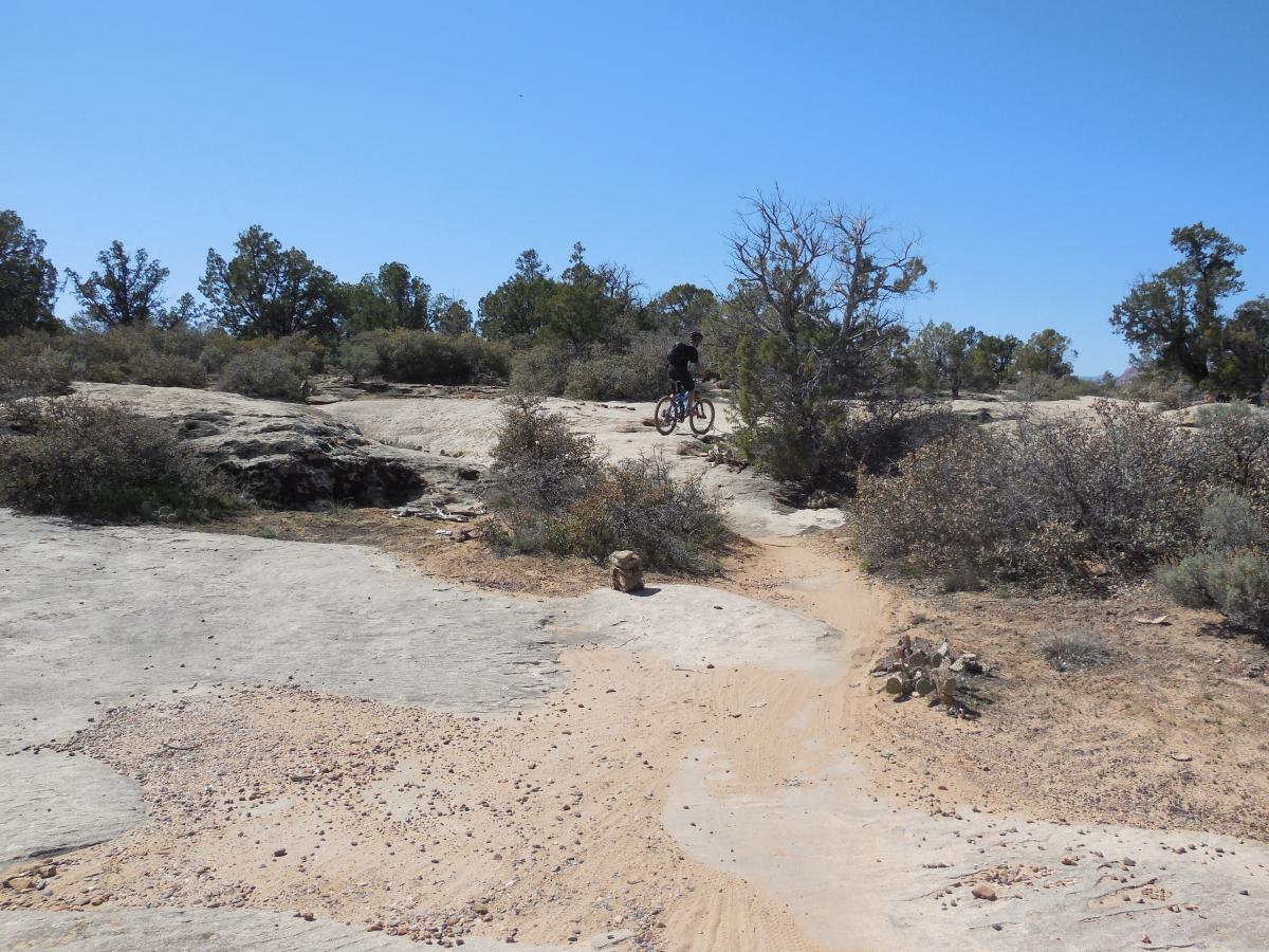 A person riding a mountain bike on a rocky trail surrounded by sparse vegetation and trees under a clear blue sky. Guacamole Mesa mountain bike trail.