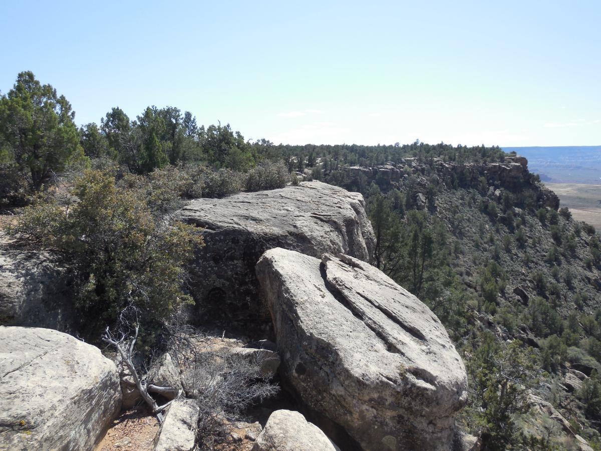 A panoramic view of a rocky landscape featuring large boulders and scattered vegetation. In the background, a canyon edge can be seen under a clear blue sky, highlighting the natural beauty of the scene. Guacamole Mesa mountain bike trail.