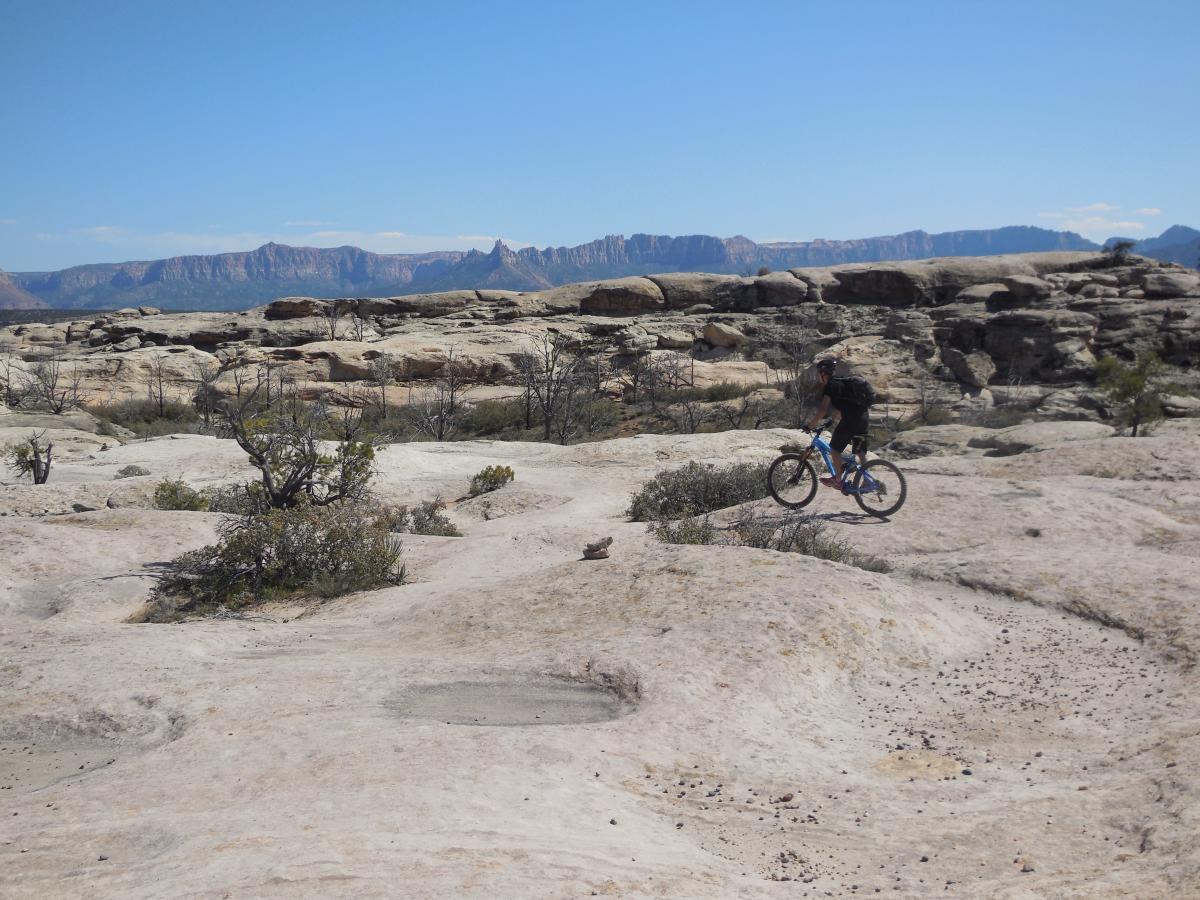Mountain biker riding on rocky terrain with a backdrop of distant mountains and clear blue sky. Guacamole Mesa mountain bike trail.