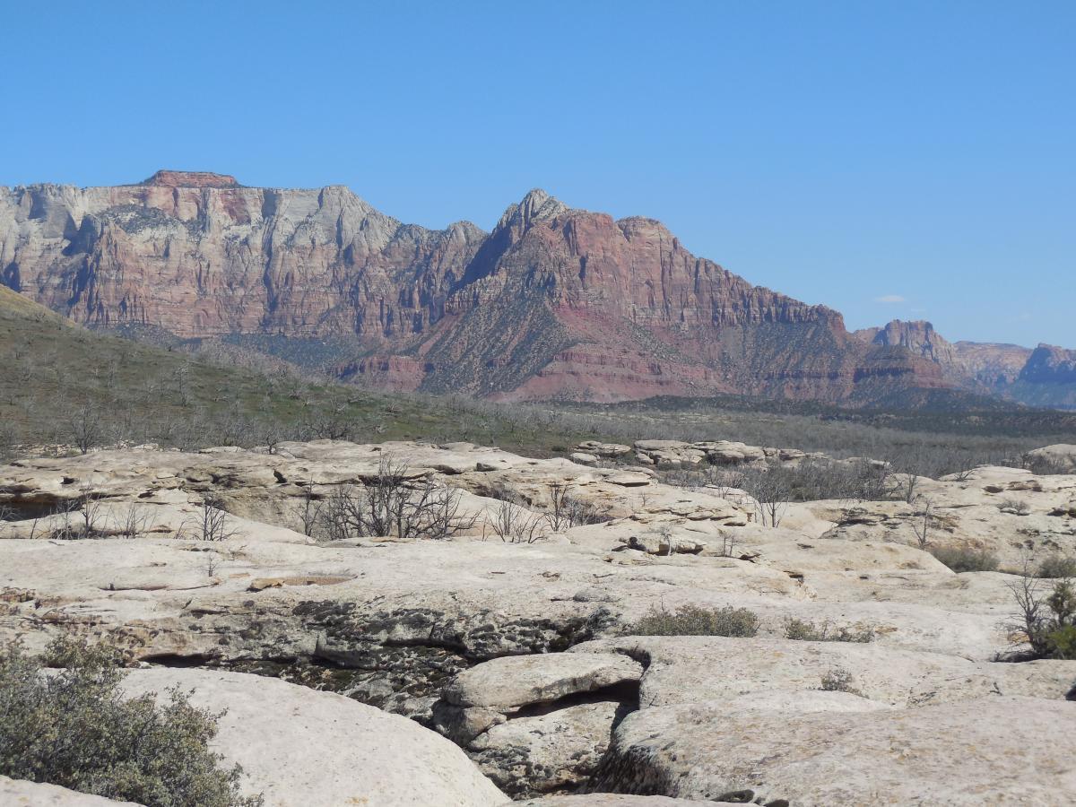 A panoramic view of rugged, colorful mountains under a clear blue sky, with rocky terrain in the foreground and sparse vegetation scattered throughout. The landscape features layered rock formations in hues of red and orange, highlighting the natural beauty of a desert environment. Guacamole Mesa mountain bike trail.