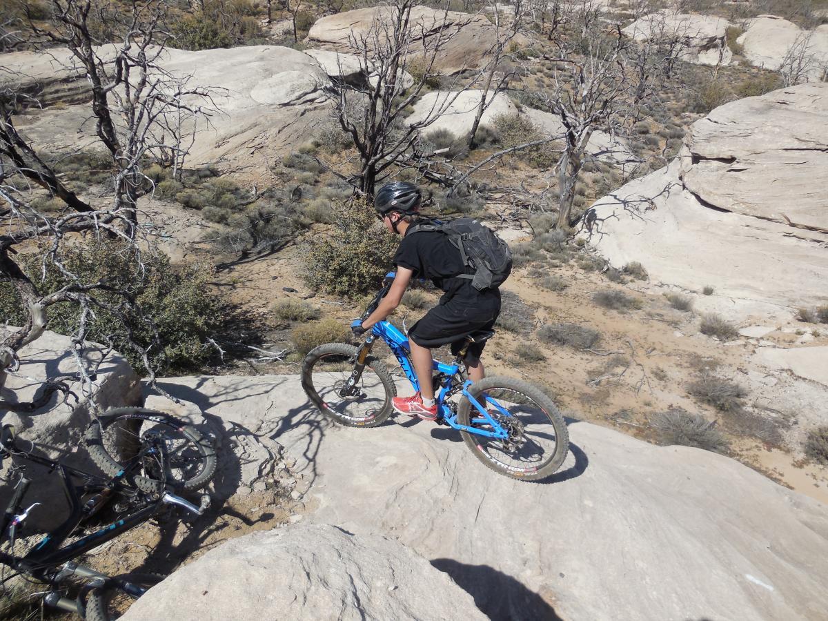 A mountain biker navigating down rocky terrain in a desert landscape, surrounded by sparse vegetation and dead trees. The rider is wearing a helmet and a backpack, and is focused on maintaining balance while riding a blue mountain bike. Guacamole Mesa mountain bike trail.