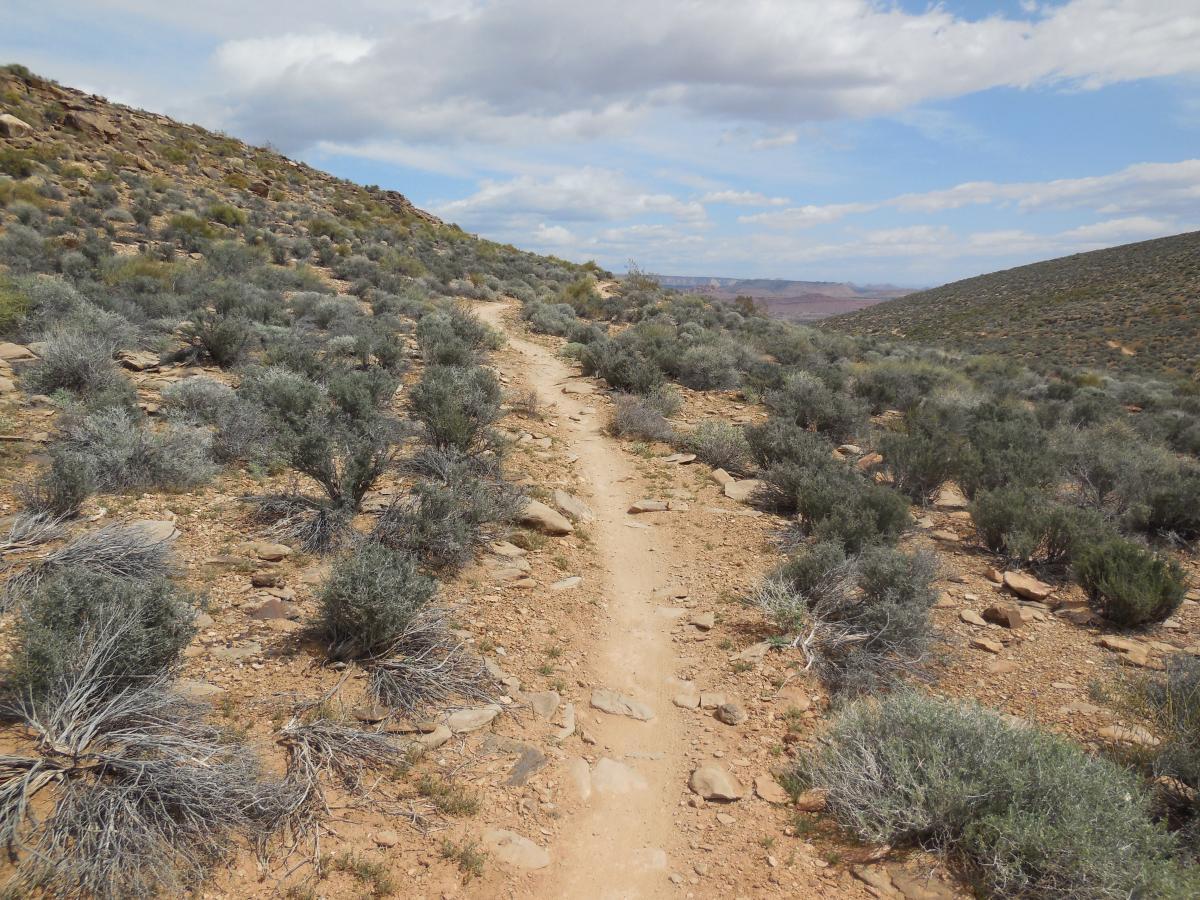 Path through a rocky terrain with scattered shrubs under a partly cloudy sky. The trail winds through the landscape, bordered by low bushes and scattered stones, leading towards distant hills. Barrel Roll mountain bike trail.