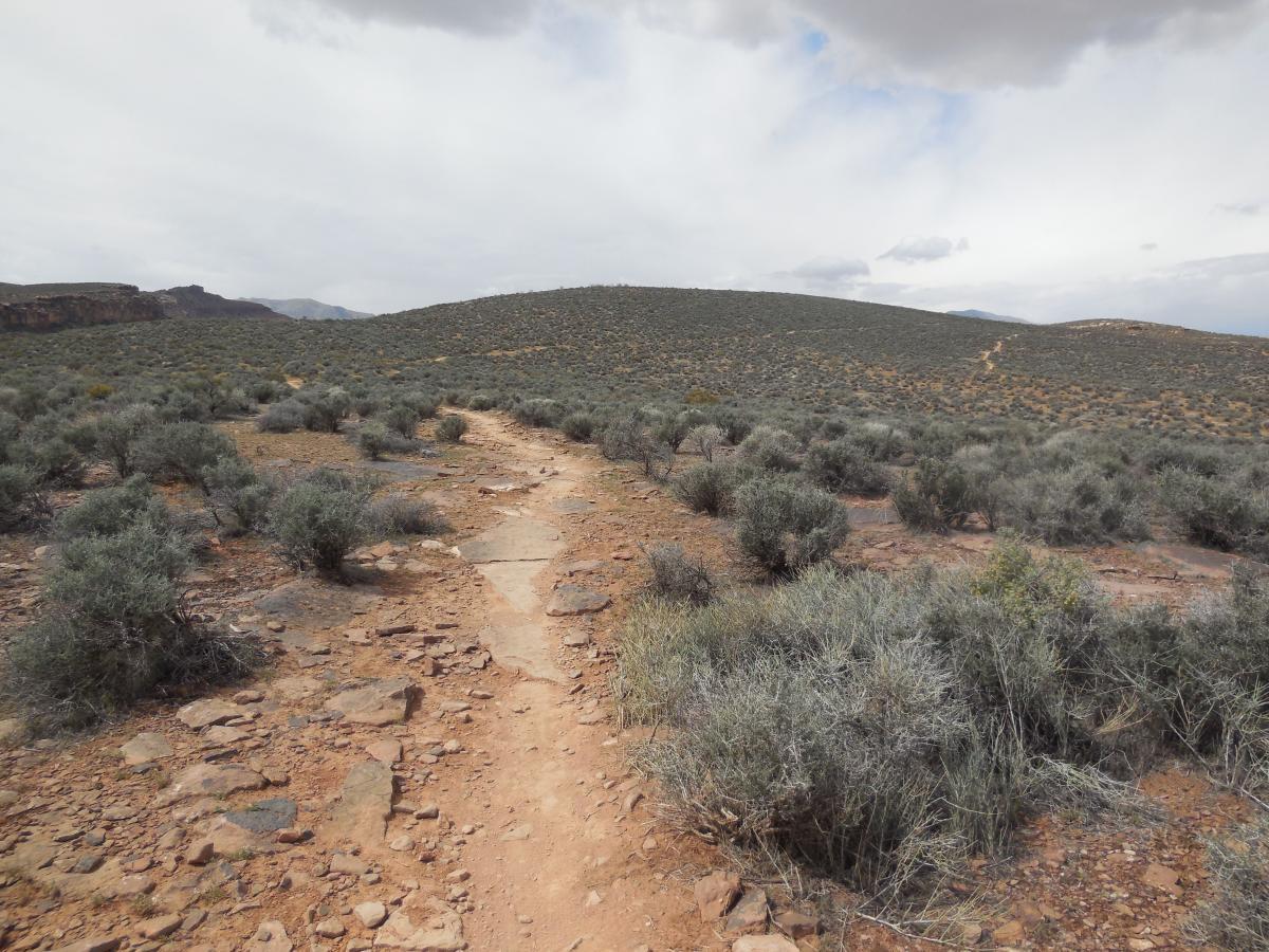 A rocky dirt path winding through a sparse desert landscape, dotted with low shrubs and rolling hills under a cloudy sky. The scene conveys a peaceful, natural setting with earthy tones. Barrel Roll mountain bike trail.