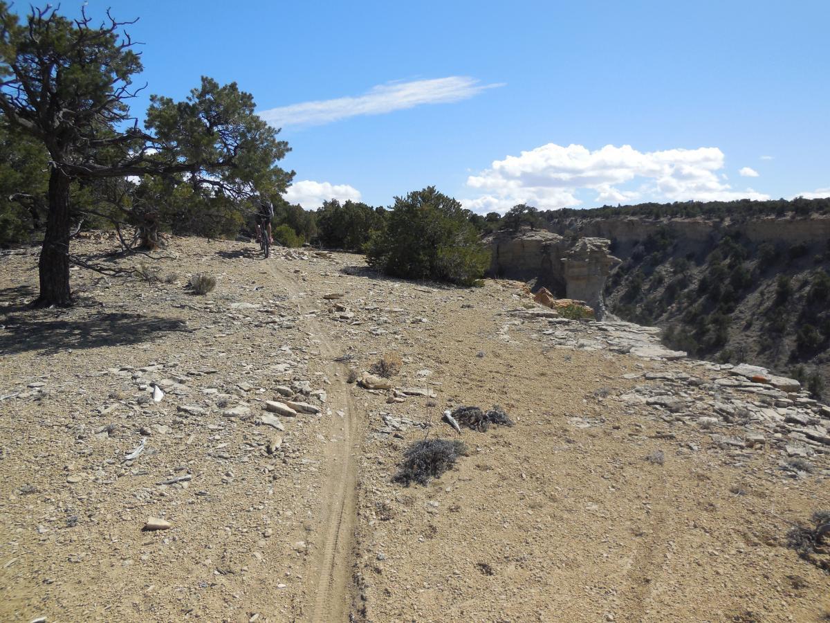 A rocky, dusty trail winding through a rugged landscape with sparse vegetation and trees under a clear blue sky. The path leads towards a steep cliff edge, revealing a distant canyon view. Country Club Trails mountain bike trail.
