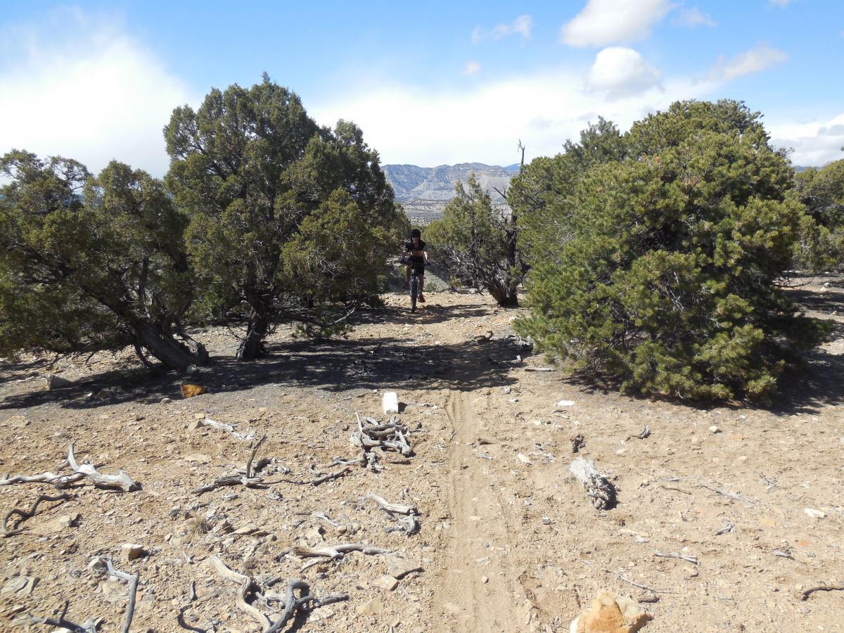 A dirt path winds through a rocky, arid landscape dotted with shrubs and small trees. In the background, distant mountains are visible under a partly cloudy sky. A person stands on the trail, partially obscured by vegetation, engaged in an outdoor activity. Country Club Trails mountain bike trail.