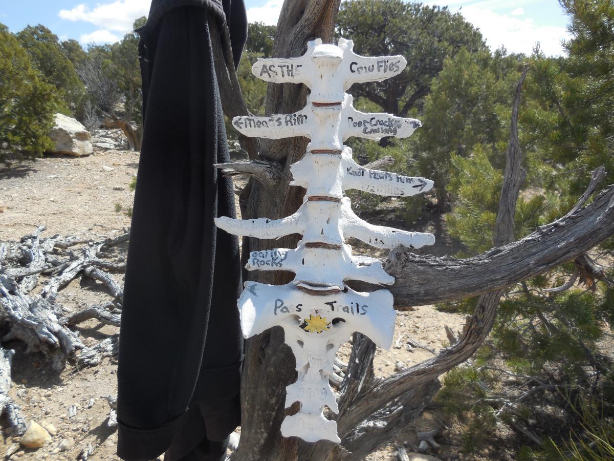 A weathered signpost made from bleached bone resembling vertebrae, with various trail names painted on it, stands in a rocky, desert-like landscape. In the background, sparse vegetation and trees can be seen under a blue sky. A dark garment hangs from a nearby branch. Mead