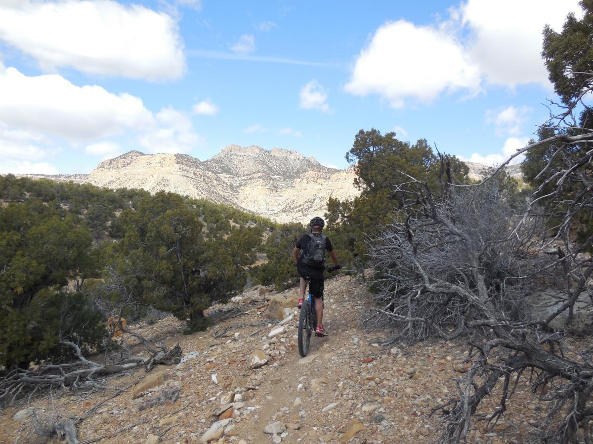 A person riding a mountain bike on a rocky trail surrounded by shrubs and trees, with a backdrop of rugged mountains and a partly cloudy sky. Lollipop mountain bike trail.