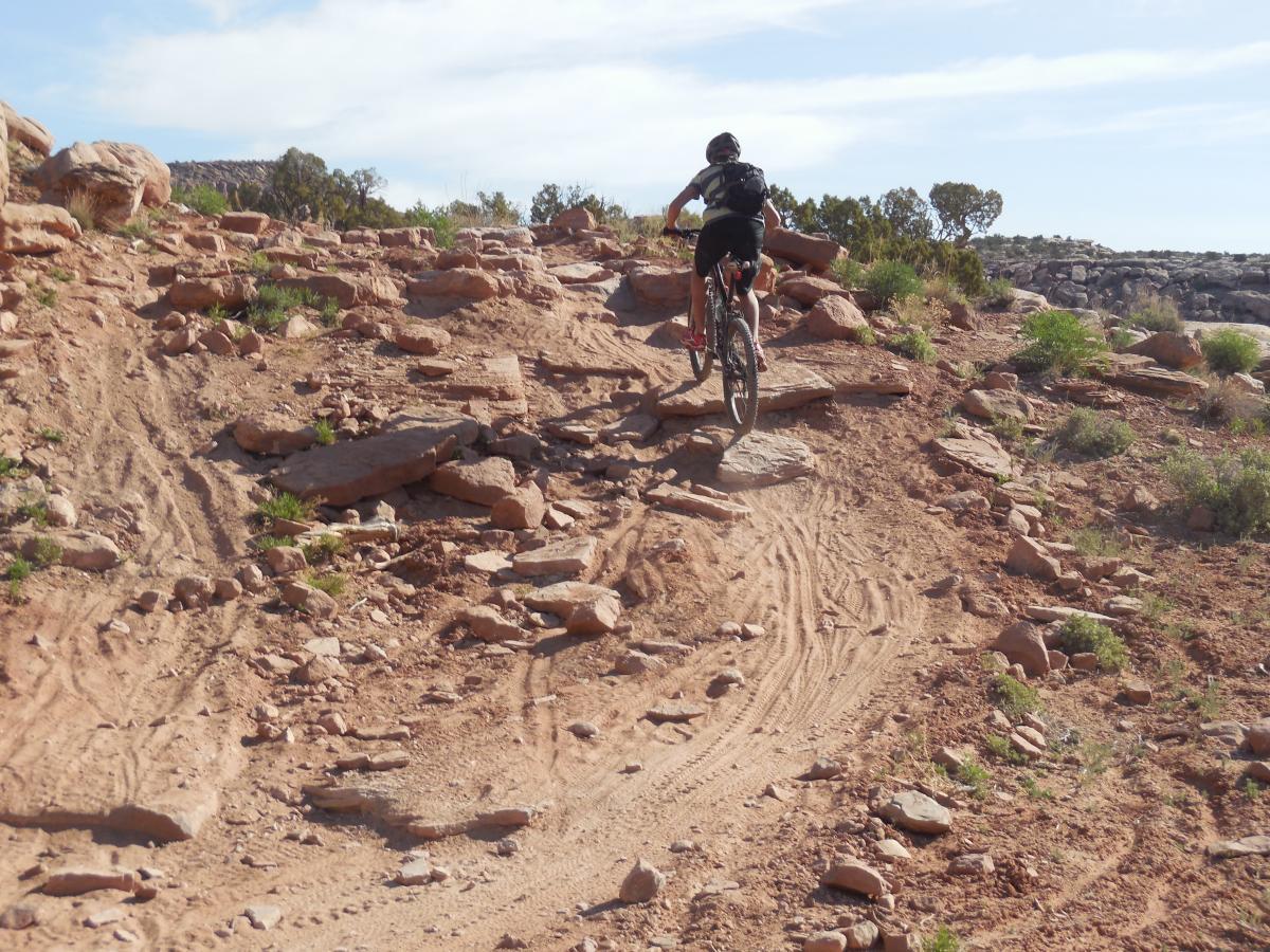 A person riding a mountain bike on a rocky, uneven trail surrounded by desert vegetation and blue skies. Sovereign Single Track mountain bike trail.
