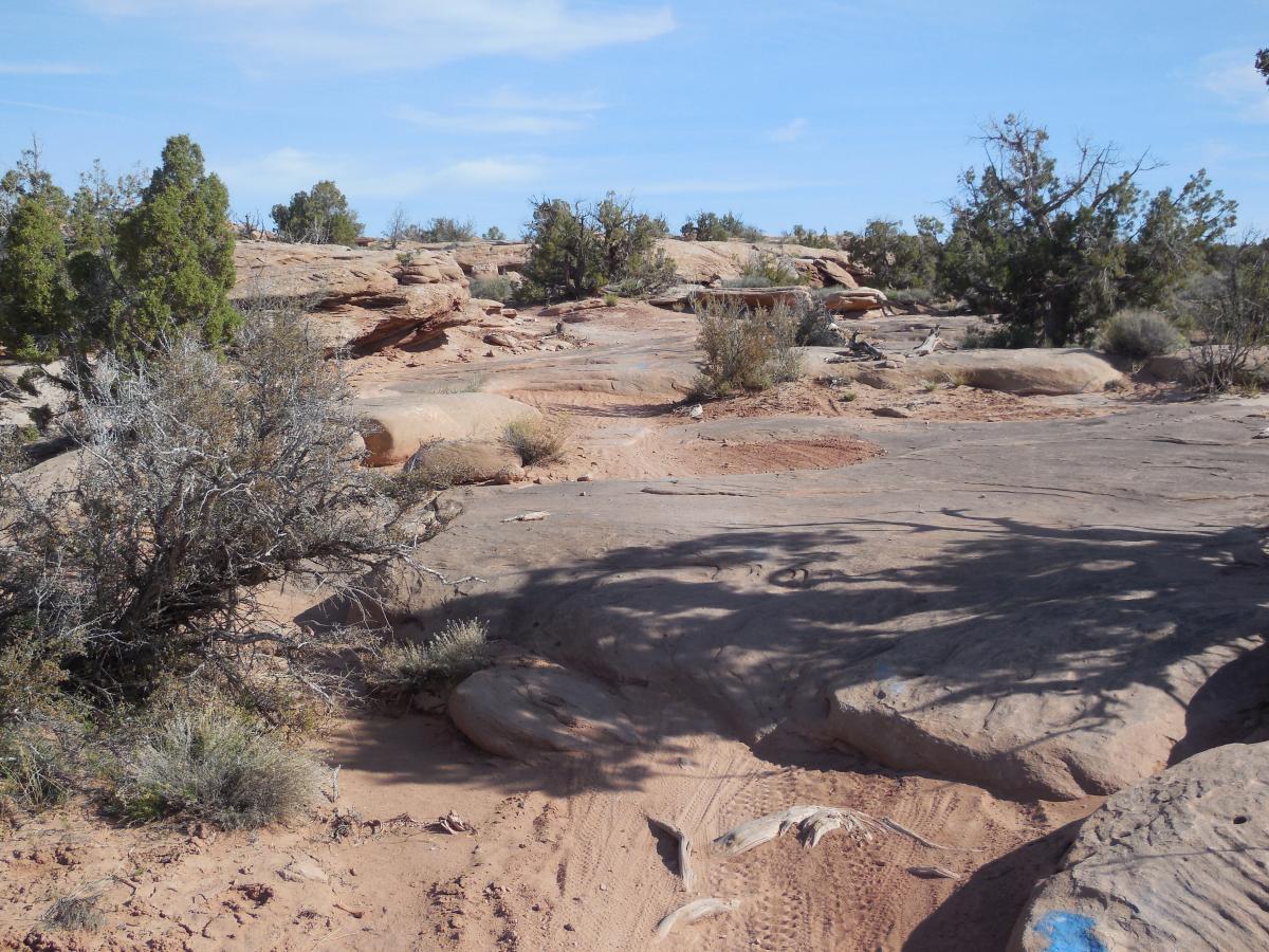 A rocky desert landscape featuring large, flat boulders and scattered shrubs under a clear blue sky. Gentle slopes and dried earth are visible in the foreground, while small trees and vegetation dot the background. Sovereign Single Track mountain bike trail.