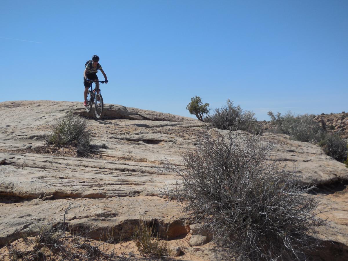 A mountain biker navigating a rocky terrain under a clear blue sky, surrounded by desert vegetation. Sovereign Single Track mountain bike trail.