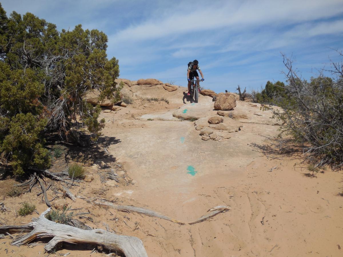 A mountain biker navigating a rocky trail on a sandy landscape, with shrubs and trees in the background under a partly cloudy sky. Bright green markings on the rocks indicate the path. Saltwash mountain bike trail.