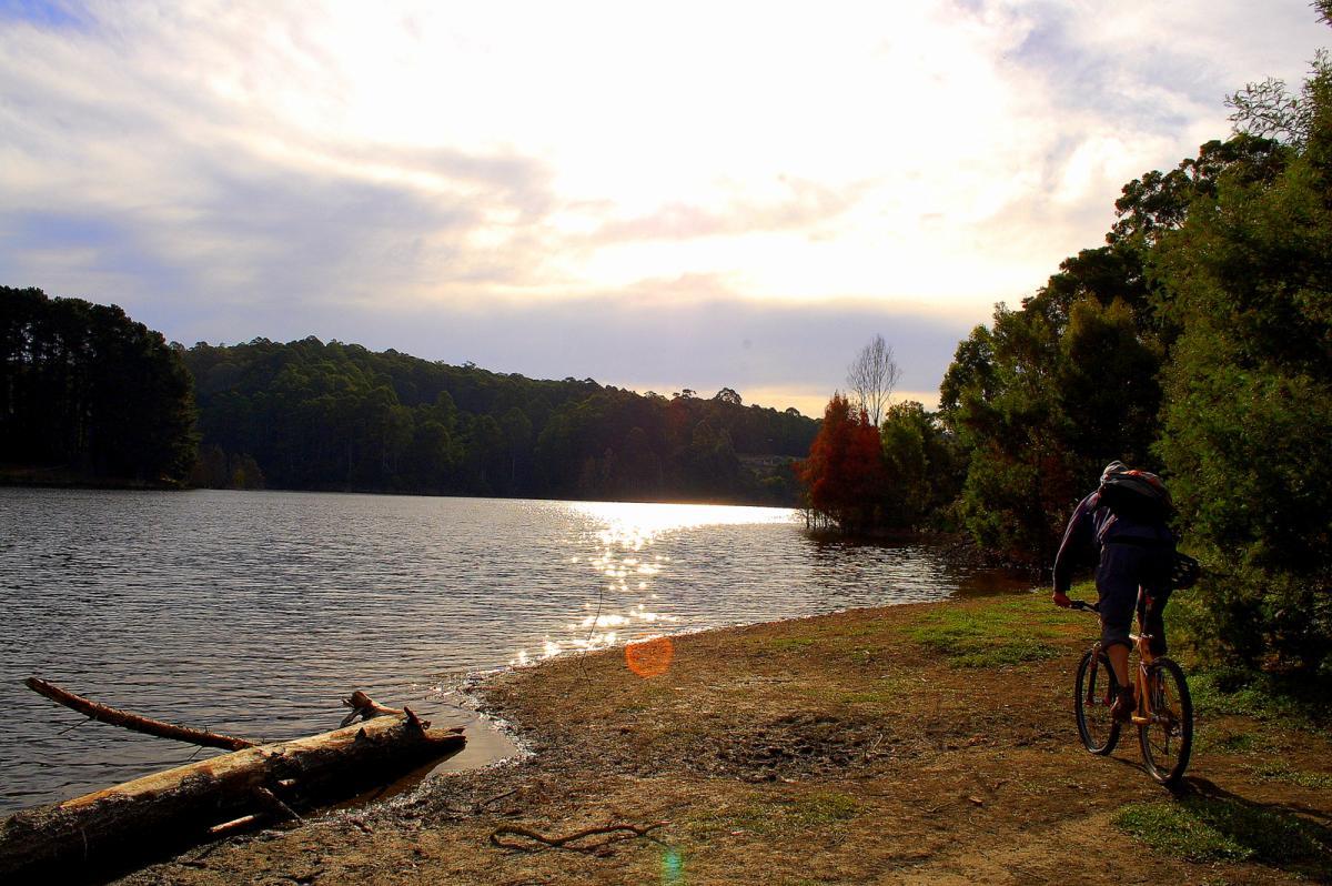 A scenic view of a lake surrounded by lush green trees, with a person riding a bicycle along the shore. The sun is setting, casting a warm glow on the water's surface and creating reflections. A fallen log is positioned on the sandy bank, adding to the natural landscape. Forrest Mtb Trails mountain bike trail.