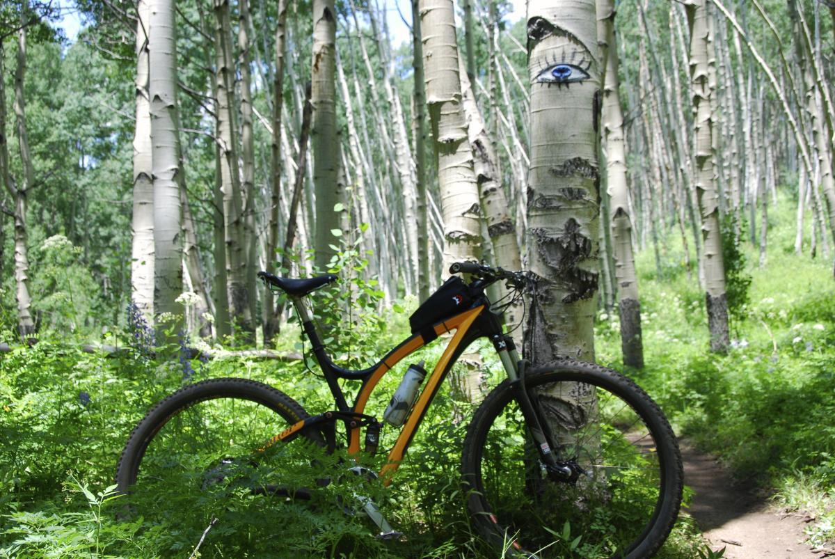 Niner Jet 9 RDO: A mountain bike is parked among lush greenery in a forest, surrounded by tall aspen trees. One of the trees features an artistic carving of an eye, adding a whimsical touch to the serene natural setting.