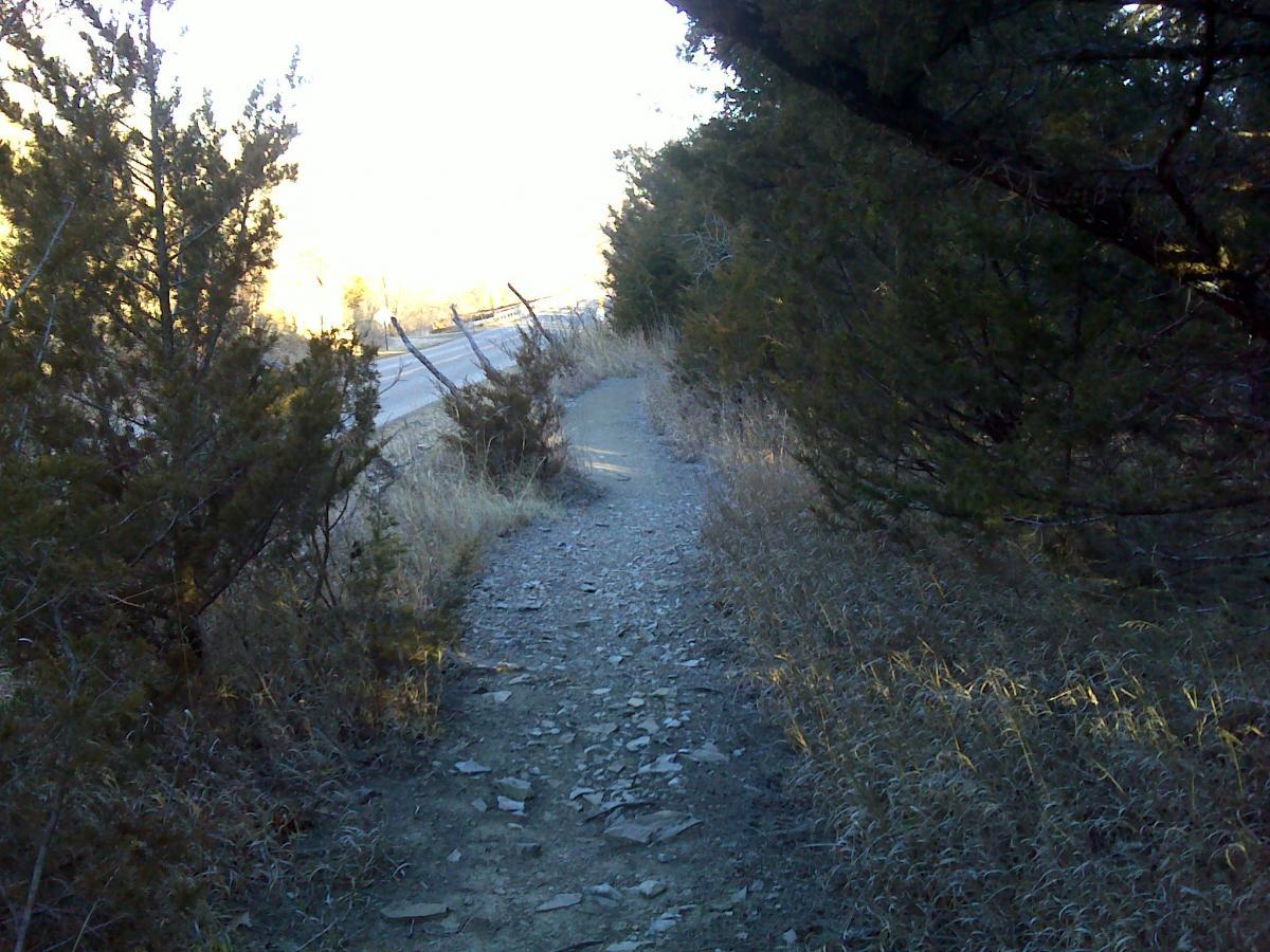 A narrow dirt path lined with shrubs and tall grass, running alongside a road. The scene is illuminated by soft, morning light, creating a peaceful atmosphere. Melvern Riverfront Trails mountain bike trail.