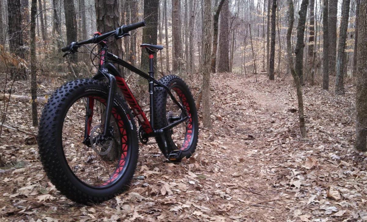 Specialized Fatboy Expert: A black and red fat bike parked on a leaf-covered trail in a wooded area. The background features tall trees and fallen leaves, indicating a natural, outdoor setting. The bike has large, knobby tires designed for rugged terrain.