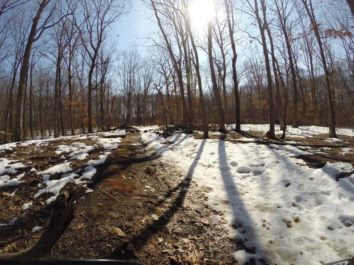 A sunny winter scene depicting a trail winding through a forest with bare trees. Patches of melting snow are scattered along the ground, and the sunlight casts long shadows across the path. The forest appears quiet and serene, with a few remnants of fallen leaves visible on the ground. Wolfes Pond park mountain bike trail.