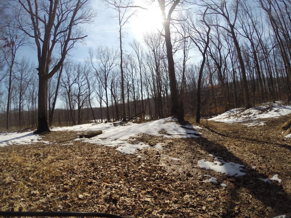 A sunny winter landscape featuring a forest scene. Leafless trees stand against a clear blue sky, with patches of snow and fallen leaves scattered on the ground. The sunlight creates shadows and highlights the natural beauty of the wooded area. Wolfes Pond park mountain bike trail.