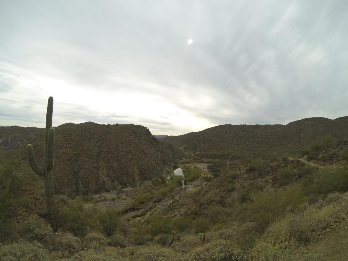 A scenic view of a desert landscape featuring a tall saguaro cactus in the foreground, surrounded by rocky hills and a winding river below. The sky is overcast, creating a soft, diffused light over the terrain. Black Canyon Trail - Little Pan Loop mountain bike trail.
