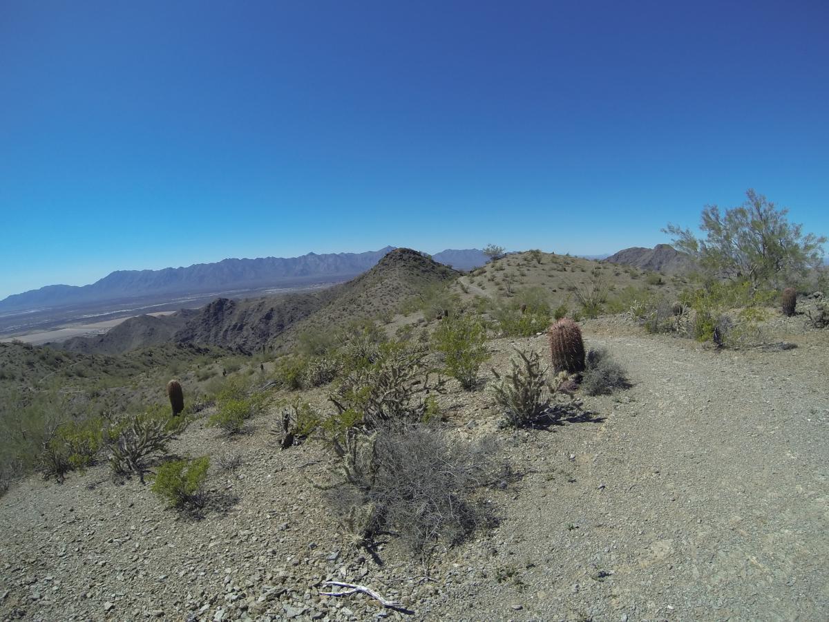 A wide-angle view of a desert landscape featuring rolling hills, scattered shrubs, and cacti under a clear blue sky. In the distance, mountains can be seen. The foreground includes a winding path through the rocky terrain. South Mountain Park / National Trail mountain bike trail.