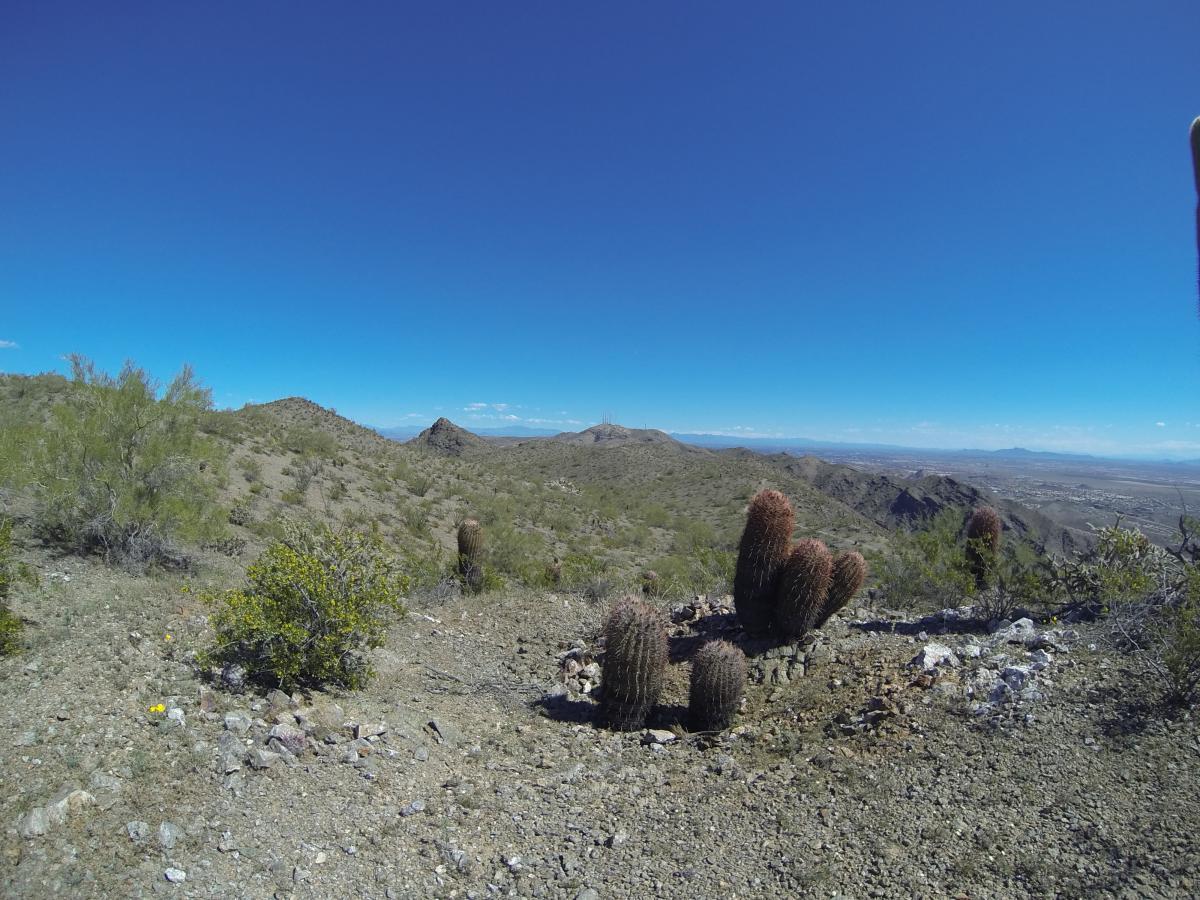 A desert landscape featuring rugged hills and various cacti under a clear blue sky. The foreground shows several cacti alongside sparse vegetation, with distant mountains and valleys visible in the background. South Mountain Park / National Trail mountain bike trail.