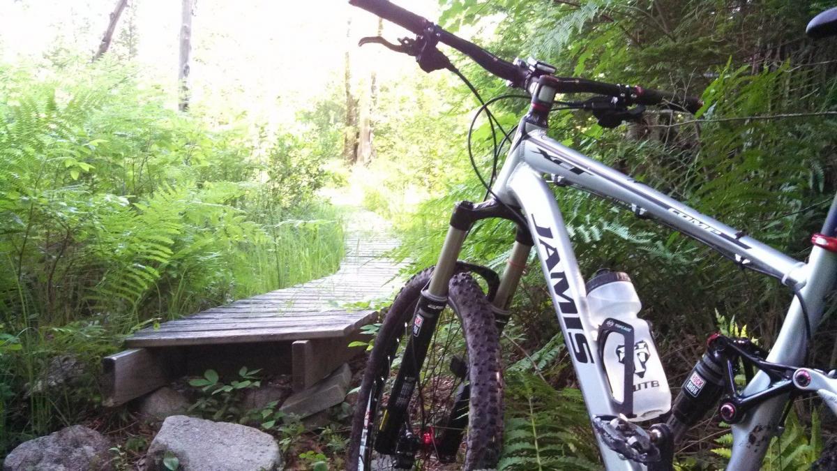 A mountain bike is positioned on a narrow wooden bridge, surrounded by lush greenery and ferns. The path leads into a dense forest, creating a peaceful and natural atmosphere. A water bottle is attached to the bike frame, indicating readiness for an outdoor adventure.
