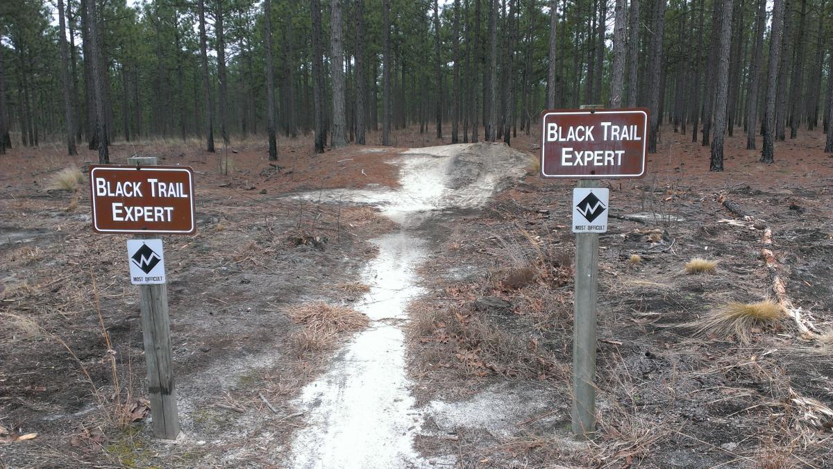 Two wooden signs marked "Black Trail Expert" are positioned at the entrance to a challenging dirt trail in a forested area. A trail marker indicating "Most Difficult" is also present. The surroundings include tall pine trees and scattered pine needles, suggesting a natural outdoor environment. Smith Lake mountain bike trail.