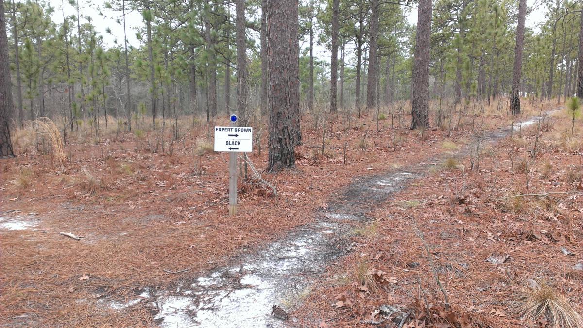 A dirt trail in a wooded area, surrounded by pine trees, with a sign indicating the path is for "Expert Brown" and "Black" trails. The ground is covered with pine needles and small patches of snow. Smith Lake mountain bike trail.