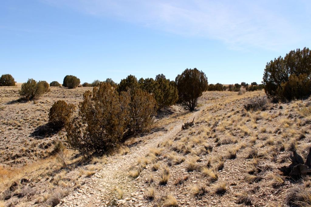 A natural landscape featuring a winding dirt path surrounded by sparse vegetation, including small bushes and dry grasses. The scene is under a clear blue sky, with gentle hills in the background. South Shore Lake Pueblo mountain bike trail.