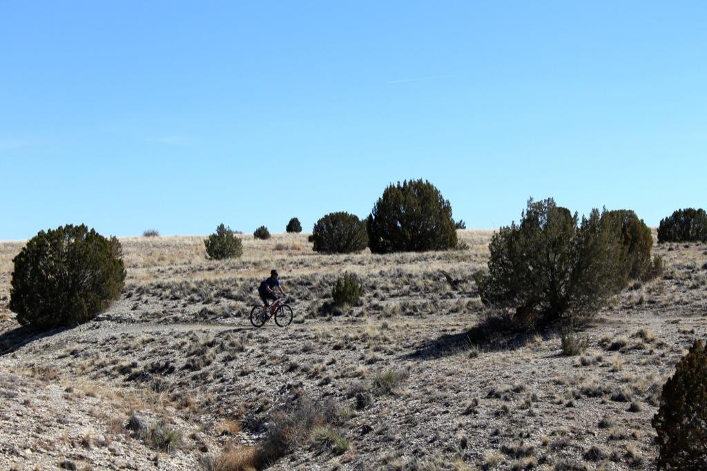A mountain biker riding on a dirt path through a sparse landscape with low shrubs and grass under a clear blue sky. South Shore Lake Pueblo mountain bike trail.