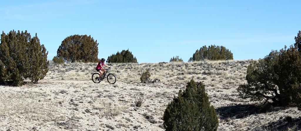 A person riding a mountain bike on a rugged, dry landscape with sparse vegetation and scattered bushes under a clear blue sky. South Shore Lake Pueblo mountain bike trail.
