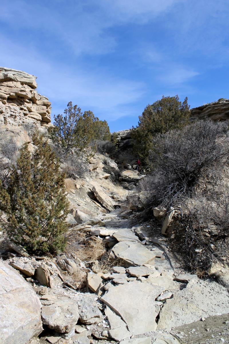 Rocky hiking trail winding through a rocky landscape, surrounded by sparse bushes and trees, under a clear blue sky. South Shore Lake Pueblo mountain bike trail.