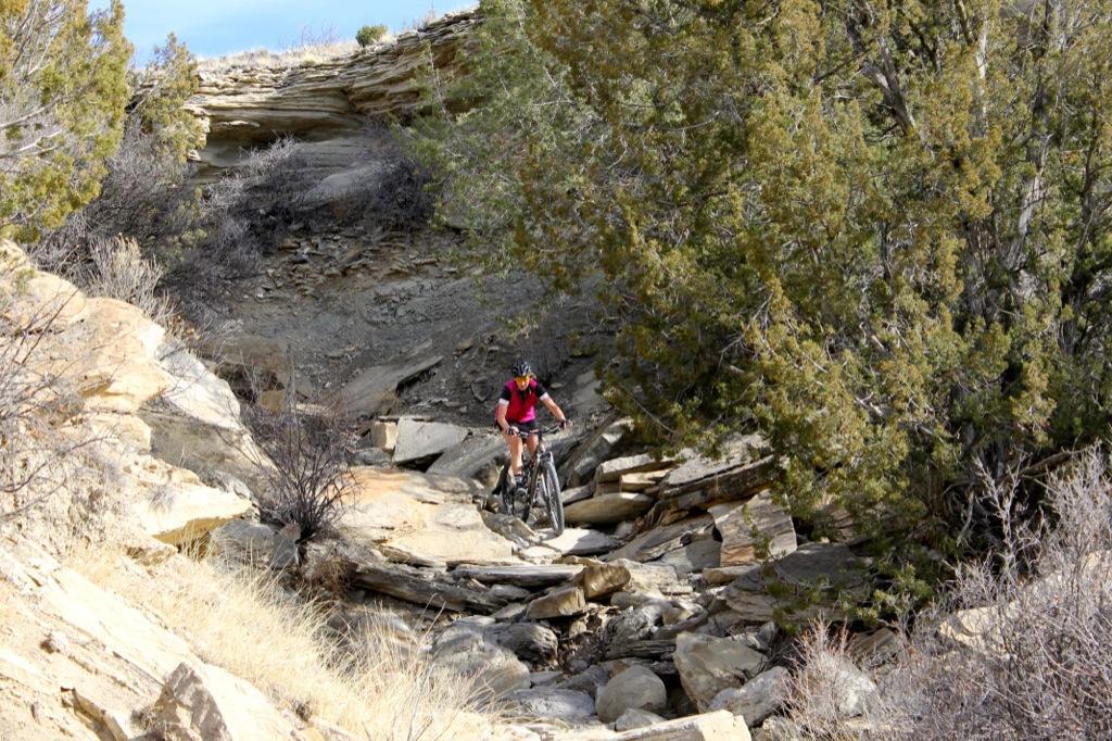 A mountain biker navigates a rocky trail surrounded by shrubs and trees, with steep rock formations in the background. The scene captures the rugged terrain of an outdoor biking adventure. South Shore Lake Pueblo mountain bike trail.