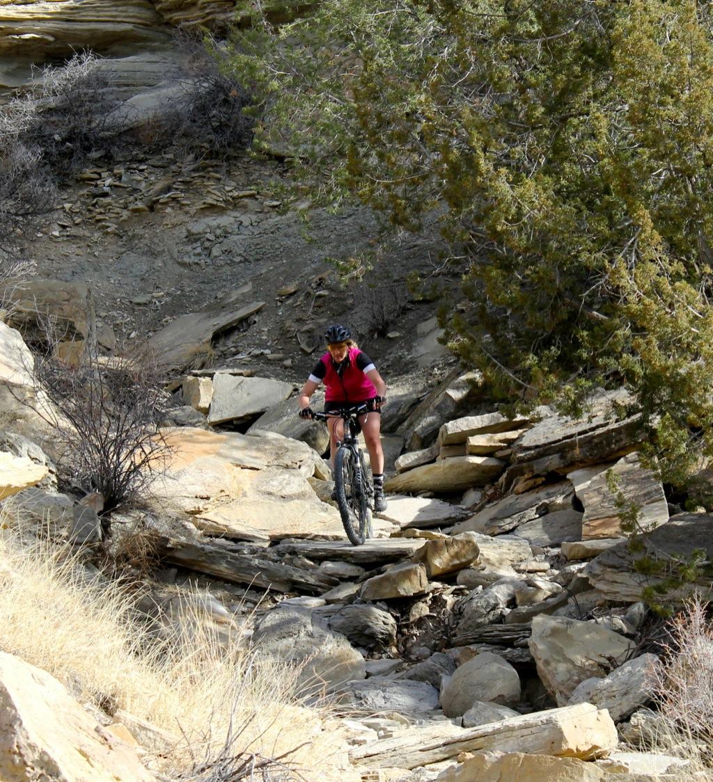 A mountain biker navigating a rocky trail in a rugged outdoor setting. The cyclist is wearing a helmet and a bright pink shirt, focused on maneuvering over the uneven terrain, surrounded by sparse vegetation and rocky outcrops. South Shore Lake Pueblo mountain bike trail.