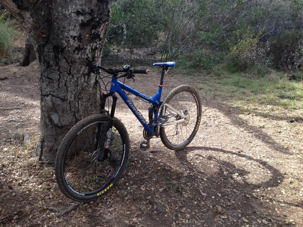 Turner Sultan: A blue mountain bike leaning against a tree on a dirt path, surrounded by grass and shrubs. The scene is set in a natural outdoor setting with sunlight filtering through the foliage.