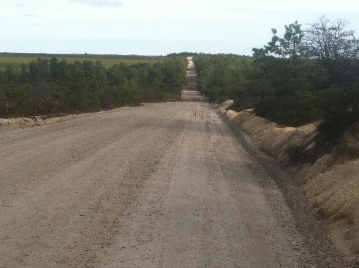 A long, straight dirt road stretches into the distance, flanked by trees on both sides. The road appears well-maintained, with a slightly elevated sandy edge and a green landscape visible in the background. The sky is overcast, adding a muted tone to the scene. Forked River Mountain mountain bike trail.