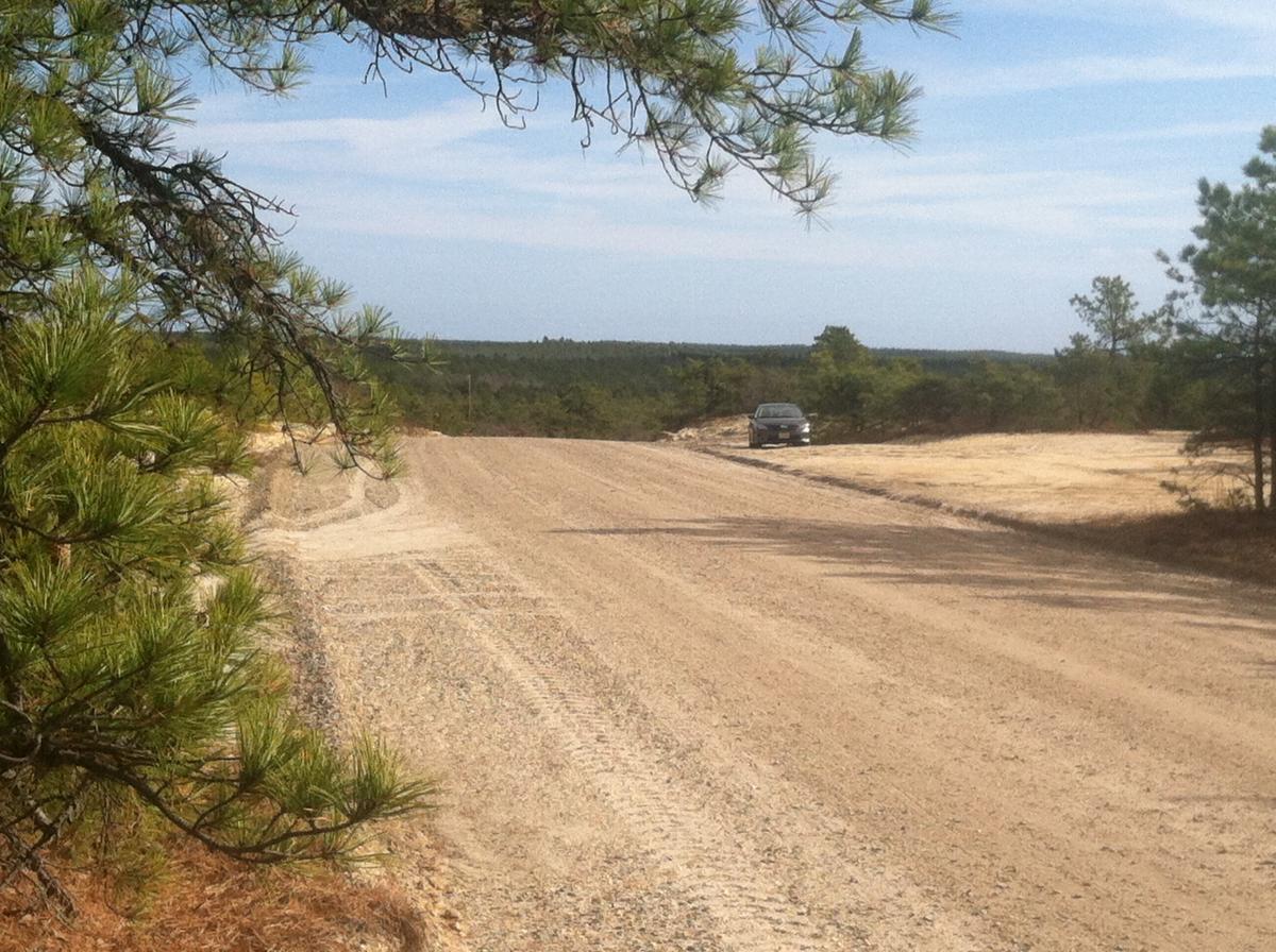 A dirt road winding through a sparse pine forest stretches into the distance, with a car parked nearby. The landscape features open fields and a clear blue sky above. Forked River Mountain mountain bike trail.