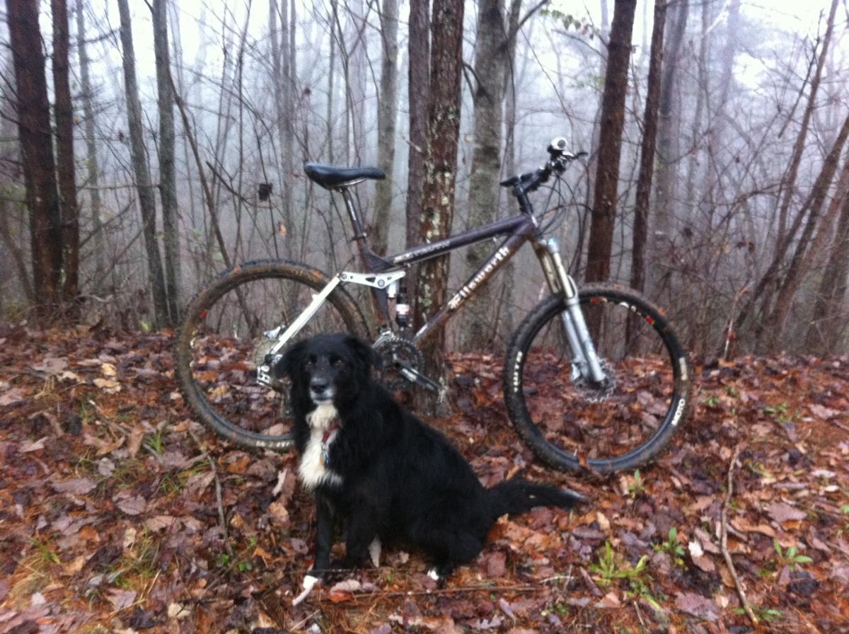 Ellsworth Truth: A black dog with a white chest sits beside a mountain bike in a misty forest. The ground is covered with fallen leaves, and tall trees surround the scene, creating a serene outdoor atmosphere.
