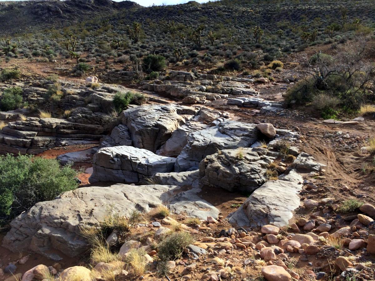 Rocky terrain with dry, light brown soil, scattered greenery, and large boulders. The landscape slopes upward, showing sparse vegetation and a few shrubs. The scene suggests a remote, arid environment typical of a desert or rocky hillside. Blue Diamond mountain bike trail.