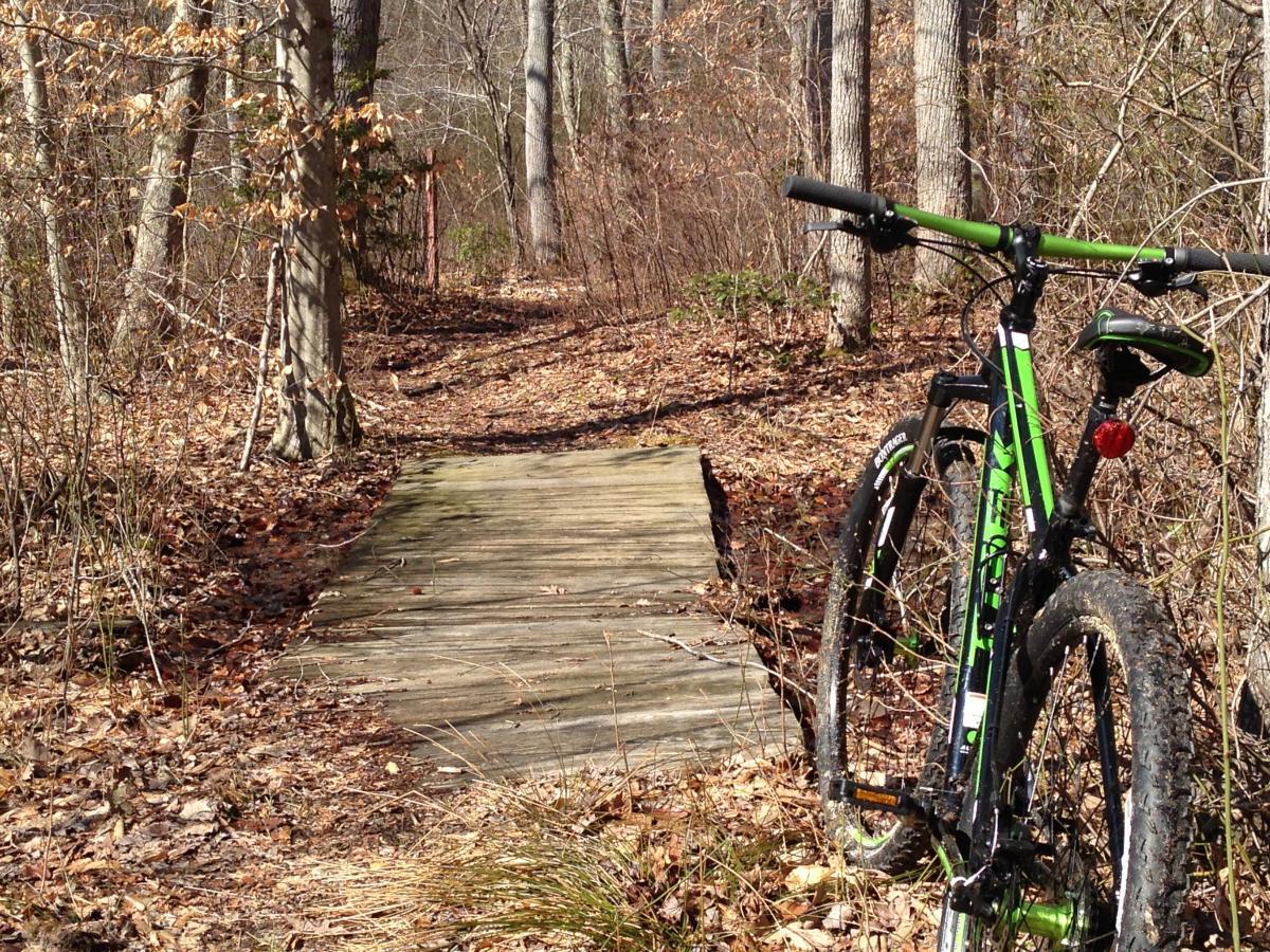 A mountain bike parked next to a wooden path surrounded by trees and fallen leaves, indicating a tranquil outdoor setting. The path leads into the woods, suggesting a recreational area for biking or hiking. Cedarville State Forest mountain bike trail.