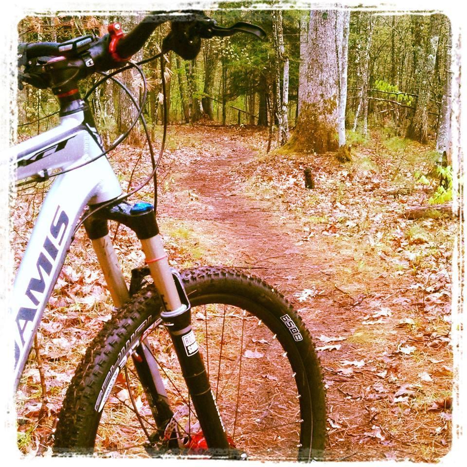 A close-up view of a mountain bike on a dirt trail surrounded by trees, with fallen leaves scattered along the path. The bike is angled towards the camera, showcasing its front wheel and handlebars. The scene is set in a natural, outdoor environment.