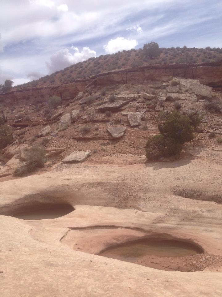 A rocky desert landscape featuring layered rock formations, a sparse array of vegetation, and two shallow pools set into the sandy surface. The backdrop consists of a sloped hill under a partly cloudy sky. Klondike Bluffs mountain bike trail.