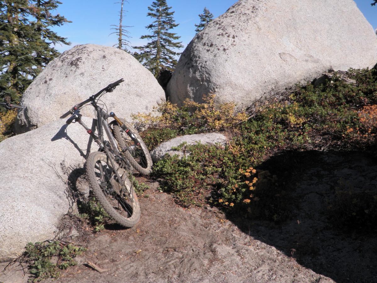 Trek Fuel EX 9: A pair of mountain bikes resting against large boulders surrounded by greenery and a sandy trail, under a clear blue sky.