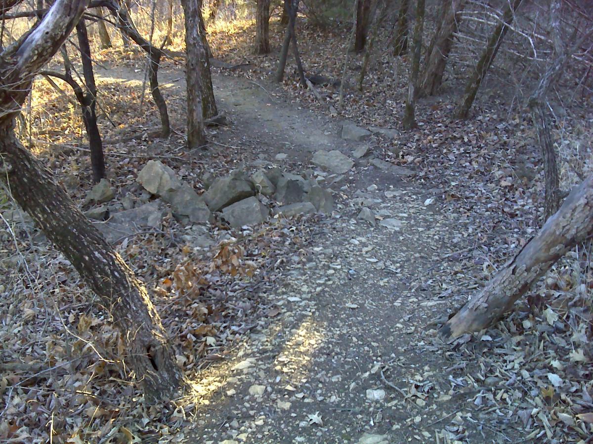 A narrow dirt trail winding through a wooded area, surrounded by bare trees and scattered leaves. Sunlight filters through the branches, creating patches of light on the ground. Small rocks are visible along the trail's edge. Melvern Riverfront Trails mountain bike trail.