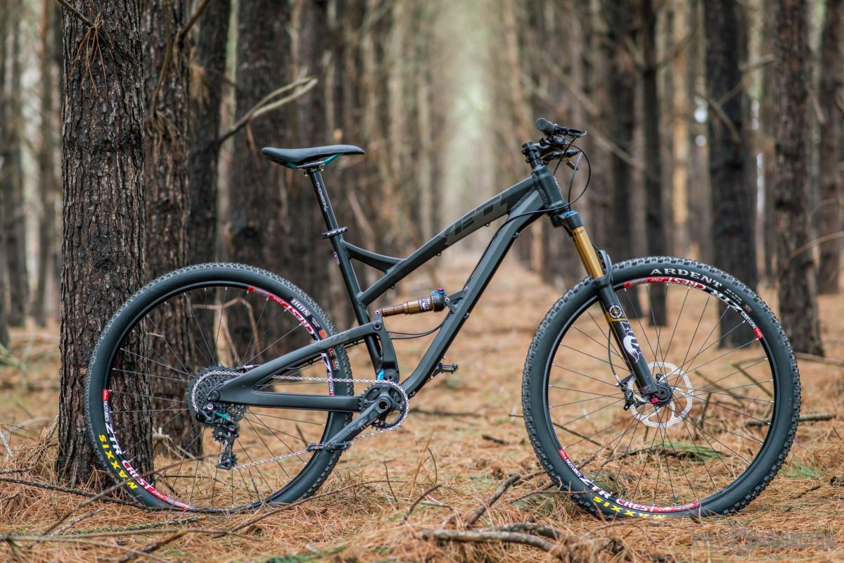 Yeti SB95: A black mountain bike leaning against a tree in a pine forest, featuring a dual suspension frame and tires with colorful branding. The ground is covered with pine needles, and tall trees create a serene backdrop.