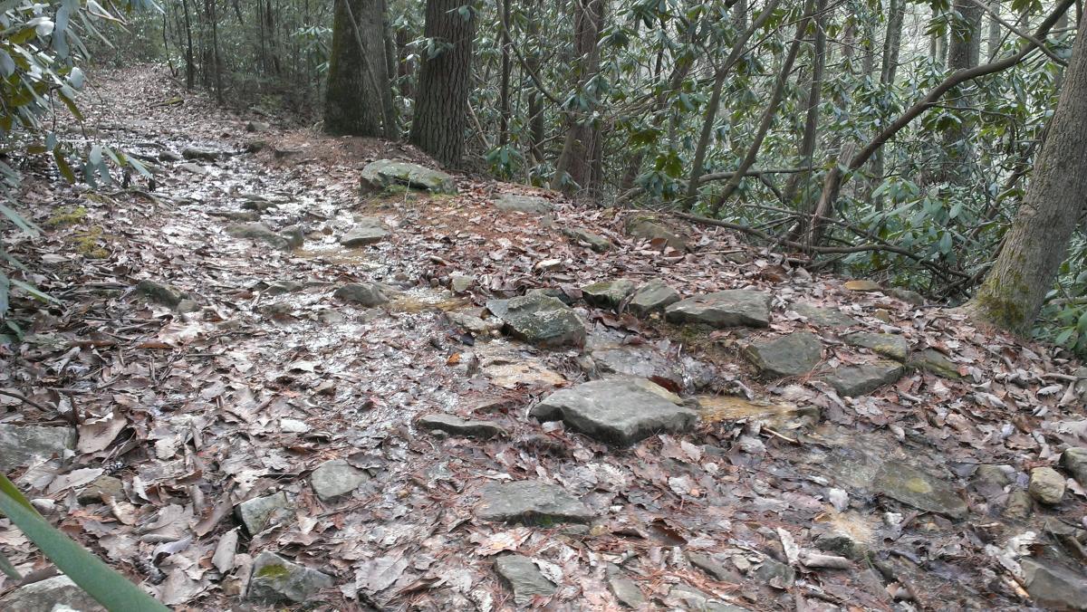 A winding dirt trail through a forest, covered with fallen leaves and scattered rocks. The path appears damp and slightly muddy, surrounded by trees and dense foliage in the background. Clemmer Trail mountain bike trail.