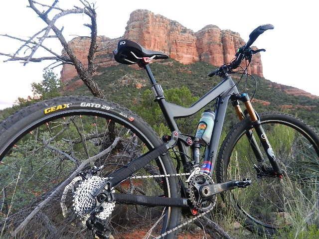 Niner RIP 9: A mountain bike leaning against a tree in a scenic outdoor setting, with red rock formations in the background and greenery surrounding the area. The bike features a black frame, wide tires, and a water bottle mounted on the frame, capturing the essence of an adventurous cycling environment.